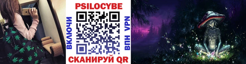 Псилоцибиновые грибы мицелий Купить закладки Губкинский
